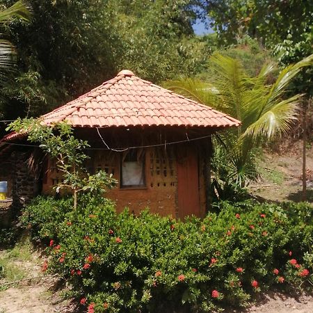 Ecopousada Casa Do Carimbo Fortalezinha Algodoal Dış mekan fotoğraf