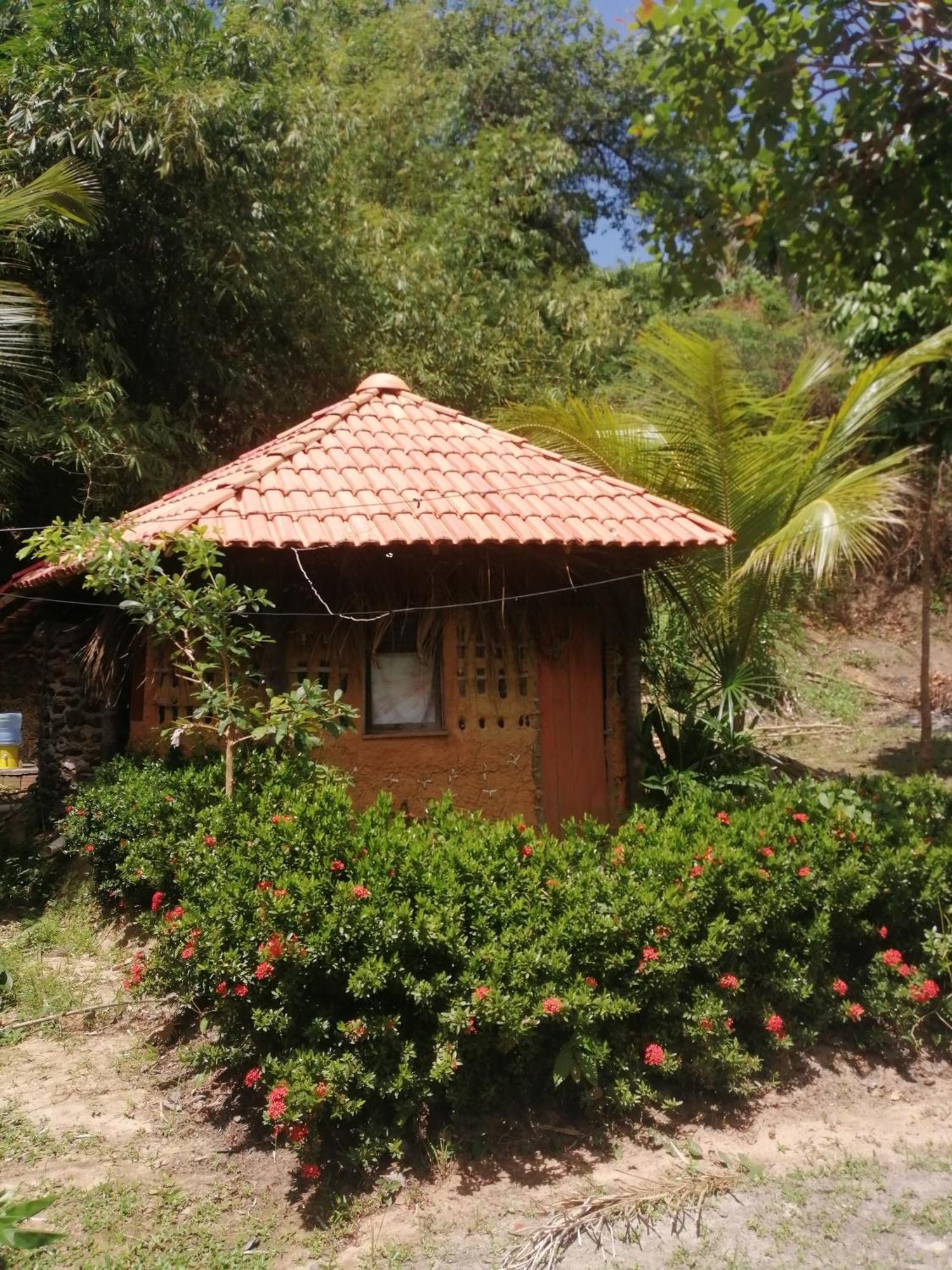 Ecopousada Casa Do Carimbo Fortalezinha Algodoal Dış mekan fotoğraf